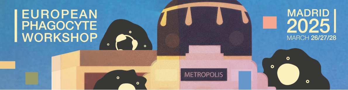 Carlos_Silvestr's tweet image. Phagocyte lovers, don't forget to register!
REGISTER &amp;amp; ABSTRACT phagocytes2025.com Where: @CNIC_CARDIO  
When: 26-28 March '25 
20 🔝 speakers 
28 short talks + posters