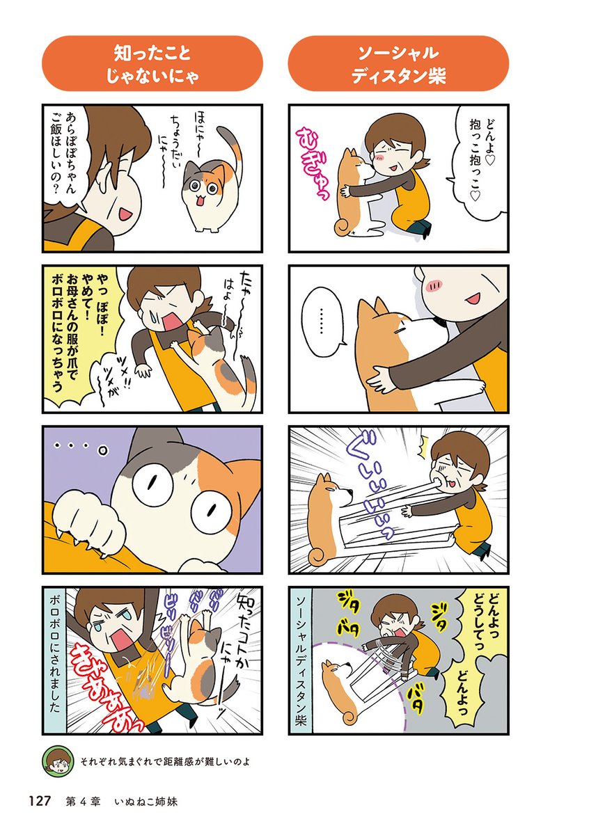 (5/5) 