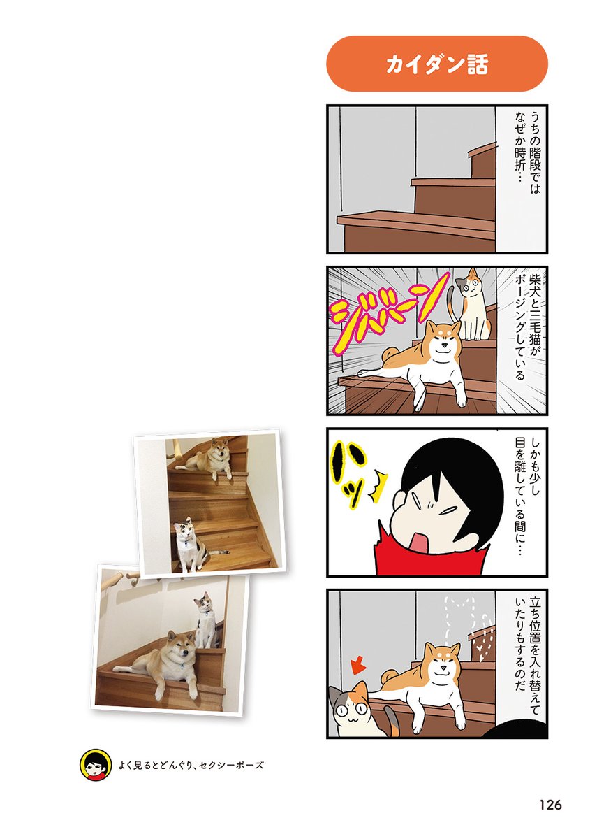 (5/5) 