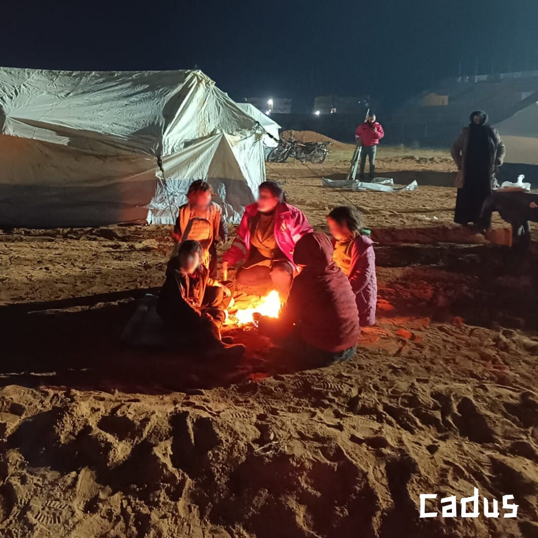 CADUS · Redefine Global Solidarity tweet media