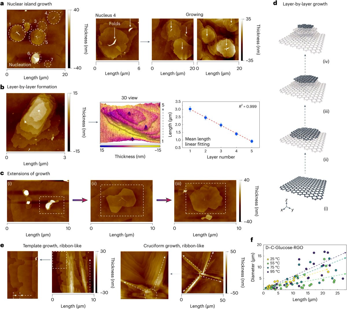 Qing-Hui Guo (郭庆辉) tweet media