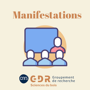 #event Les prochaines Journées Nationales sur les Composites - JNC 2025 qui  auront lieu au LMPS (Gif-sur-Yvette) du 30 juin au 2 juillet 2025 gdr-sciences-du-bois.hub.inrae.fr/manifestations…