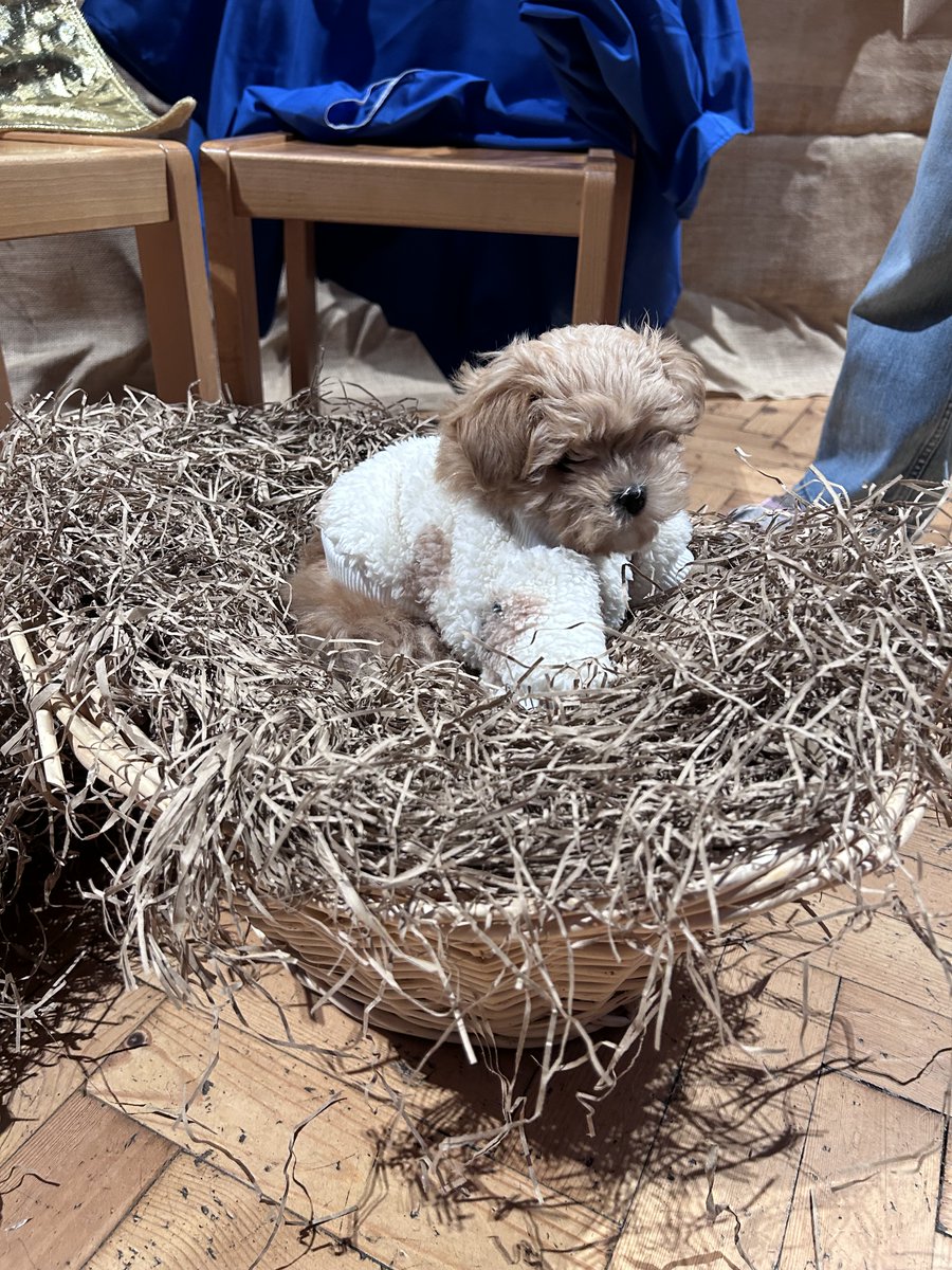 STwSS Church tweet media