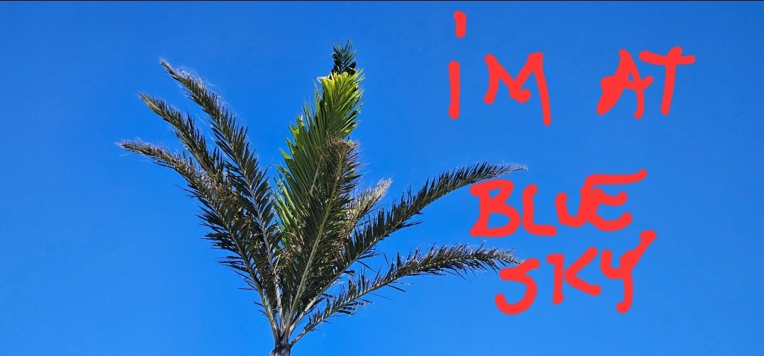 Wiezguy@bksy.social tweet media