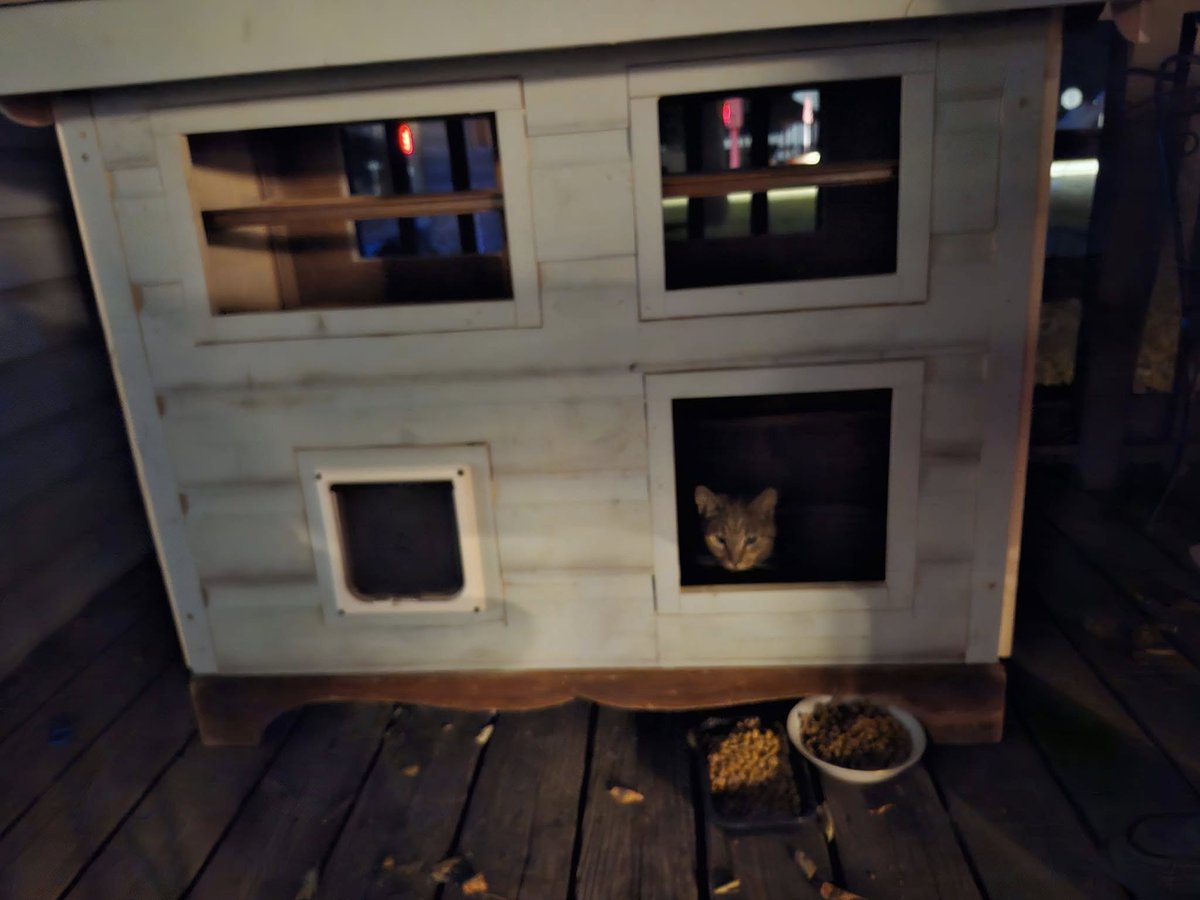 BSwirlsi's tweet photo. Helping look after feral cats when it's cold, doesn't have to be ugly if you're handy! #CatHousesforFerals #ReduceReuseRepurpose #BeHumane https://t.co/RGCHl3nWs4