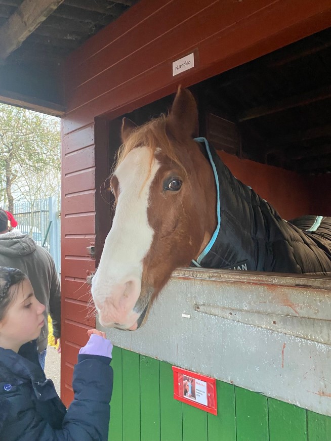 oldoakparkroyal's tweet image. It was lovely joining one of our Small Grantees, @ForBrian_, on Saturday at the Wormwood Scrubs Pony Centre for their Christmas Celebration! 🐴

It was great to see people of all ages have fun &amp;amp; interact with the ponies &amp;amp; donkeys - we&apos;re proud to support such a wonderful cause!❤️