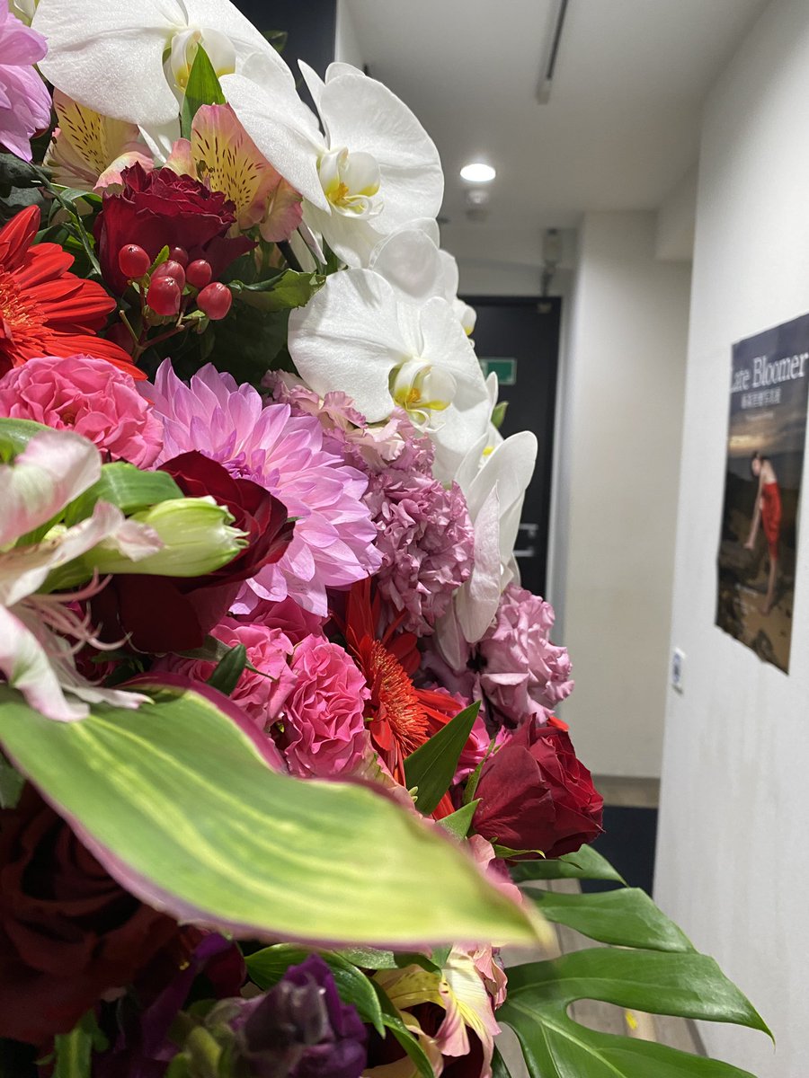 明日から写真展
今日は搬入と設営でした。
#藤森里穂
https://t.co/dtmMHFBMWI https://t.co/WpuLtBpl3m