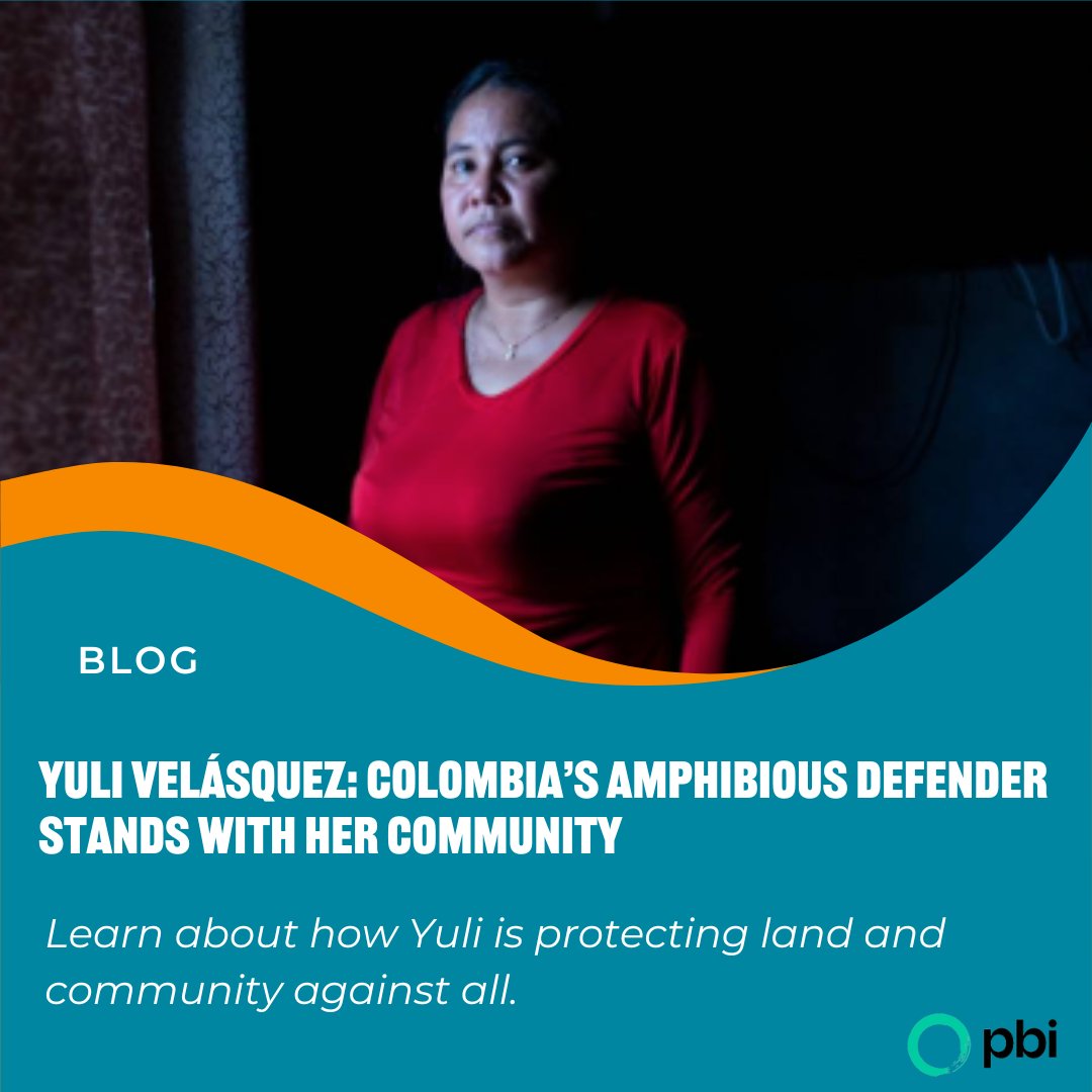 Peace Brigades International (PBI) tweet media