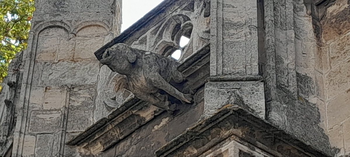 Is it a sow? A gargoyle on Bessier's cathedral.