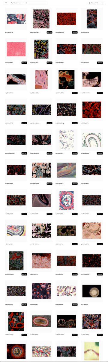 Mimi Nguyen واحد 🥯 tweet media