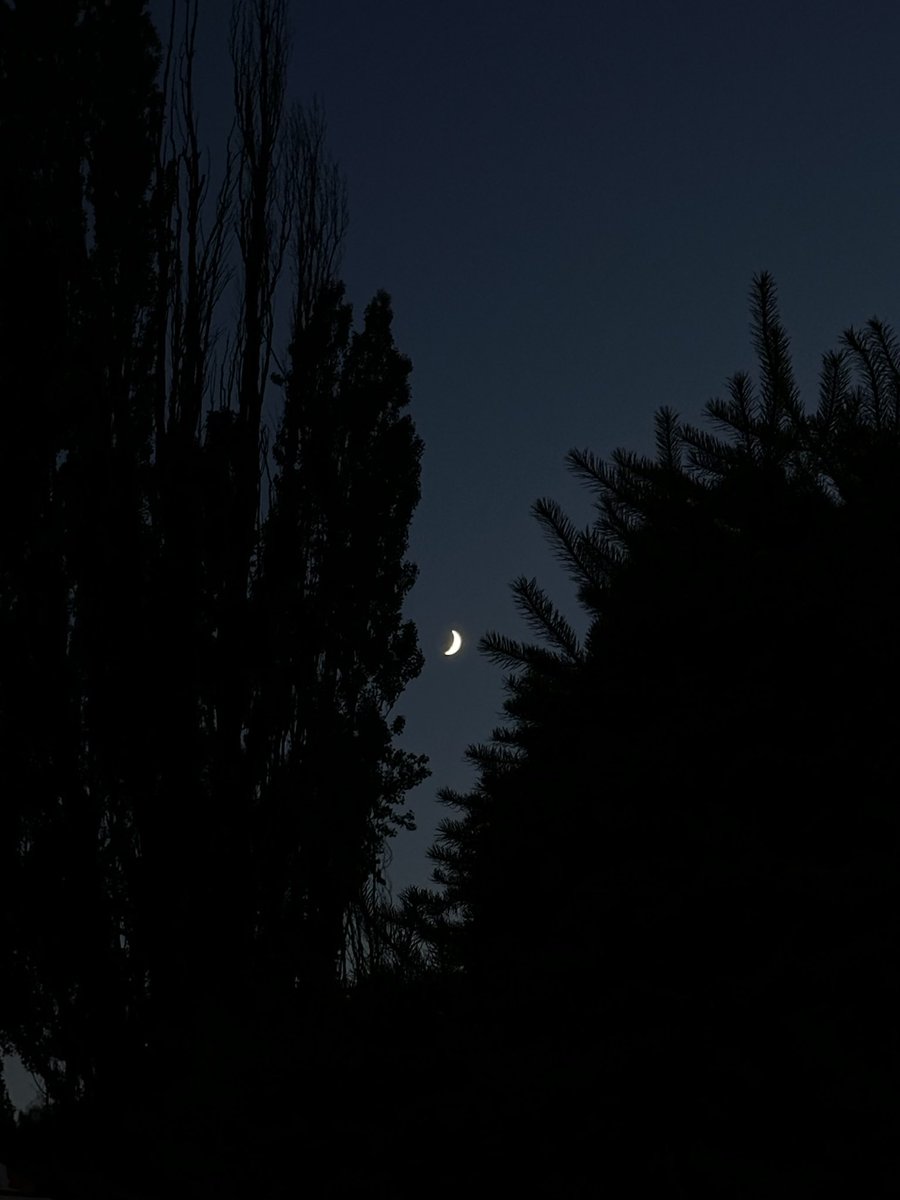 Do you guys think Phil is the sun while Dan is the moon?