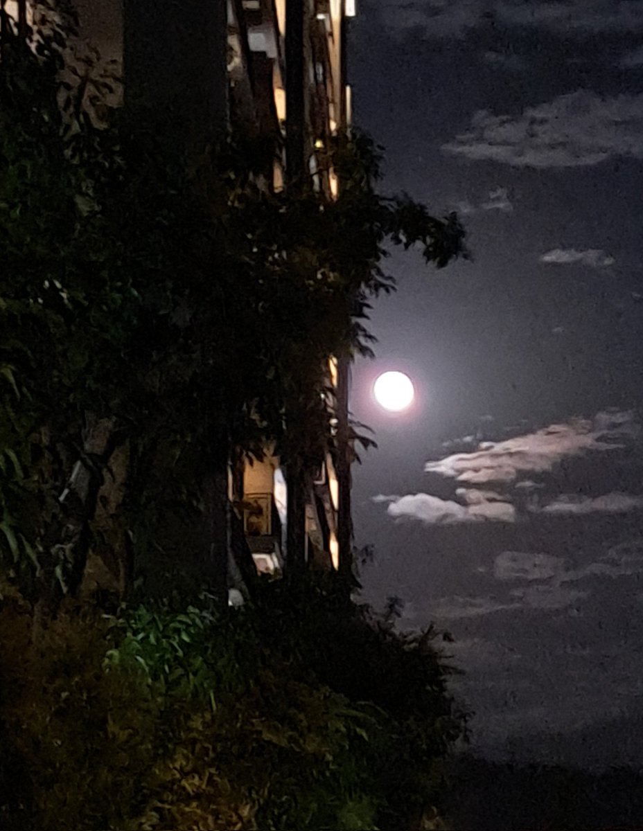 taifatman's tweet photo. 漂亮的夜色，郎出來了。 https://t.co/7sGNzPYthd