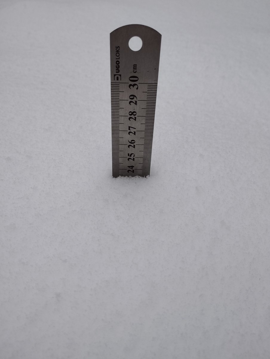 sobakaFD's tweet image. Over the past two days, there has been a lot of snow in my yard.