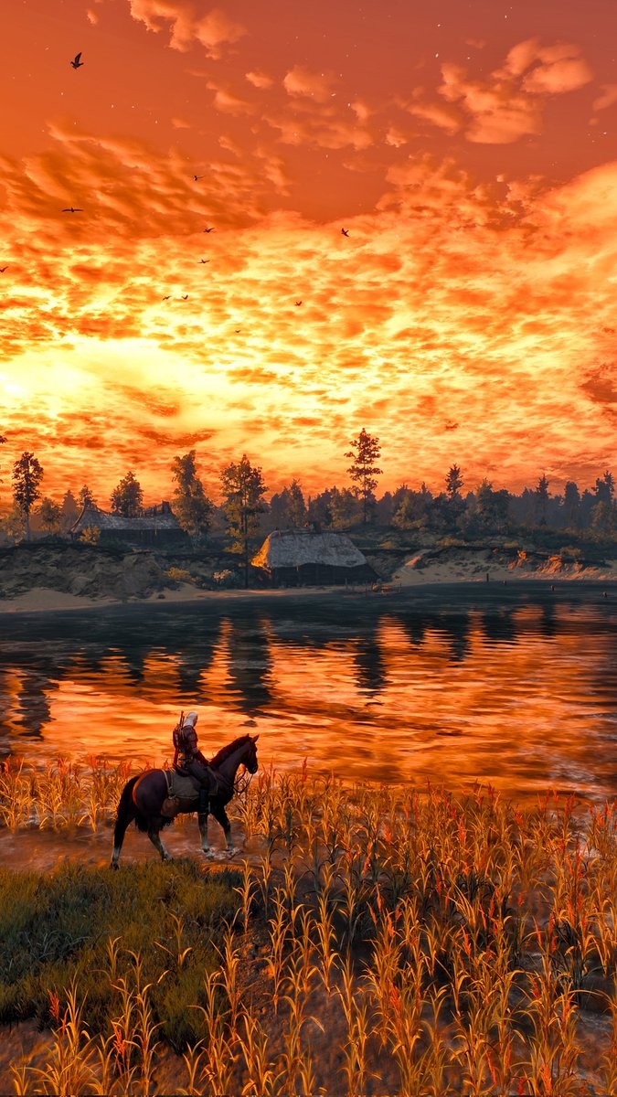 The Witcher 3 🌞