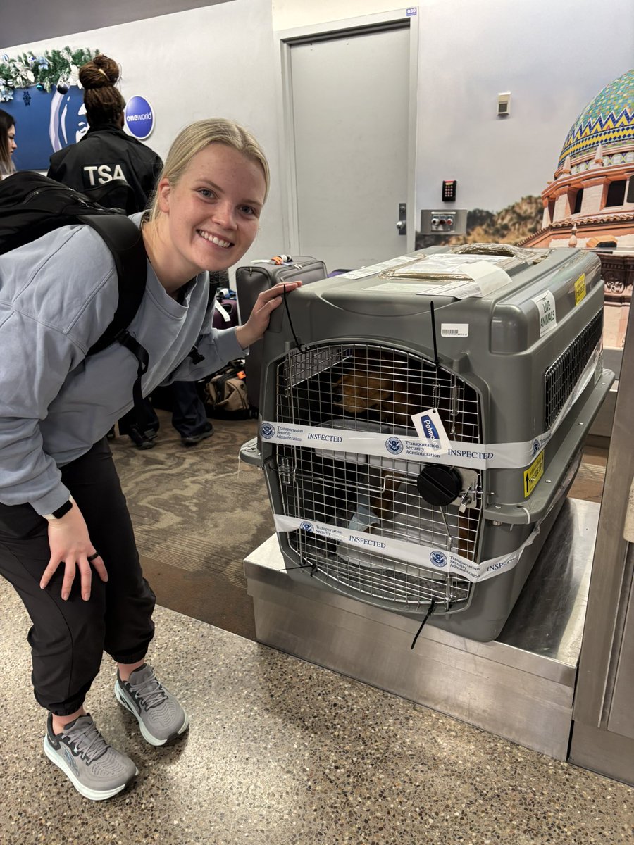 oldgradcandleco's tweet photo. Alaska Airlines is making Tate feel right at home.  Thanks for being so kind to our flying fur-ball. @AlaskaAir @TSA @Myancey007 @traveloneworld https://t.co/m2CjOwpk2y