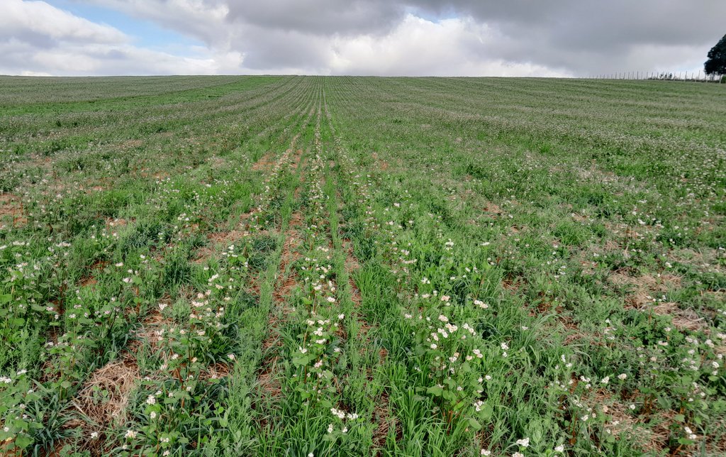 David Jones tweet media