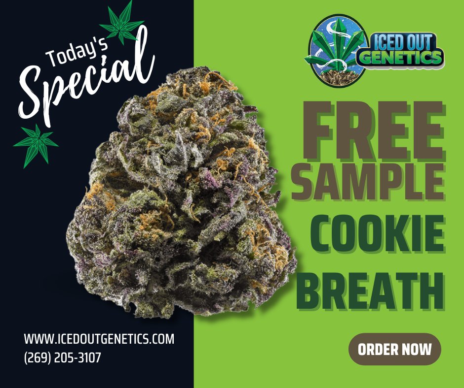 iogenetics_OFCL's tweet image. 🔥 Try Cookie Breath by Seed Junky for FREE! 🔥
Rated 4.8/5, this top-quality strain is a must-try! 🌱💨 Just cover a $2 stamp, and we’ll send you a free sample—no strings attached.
👉 Get yours here: bit.ly/3ZasQBk
Hurry, limited to 1 per user! 🍪💎
#FreeSample