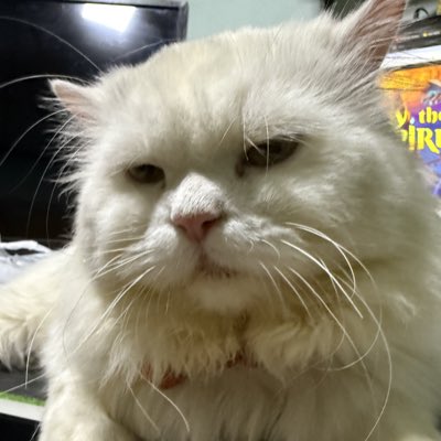 toonzony's tweet photo. #NewProfilePic https://t.co/riWe6SDRNL