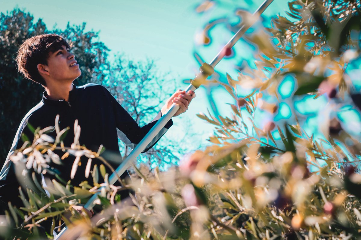 Repoblem tweet media