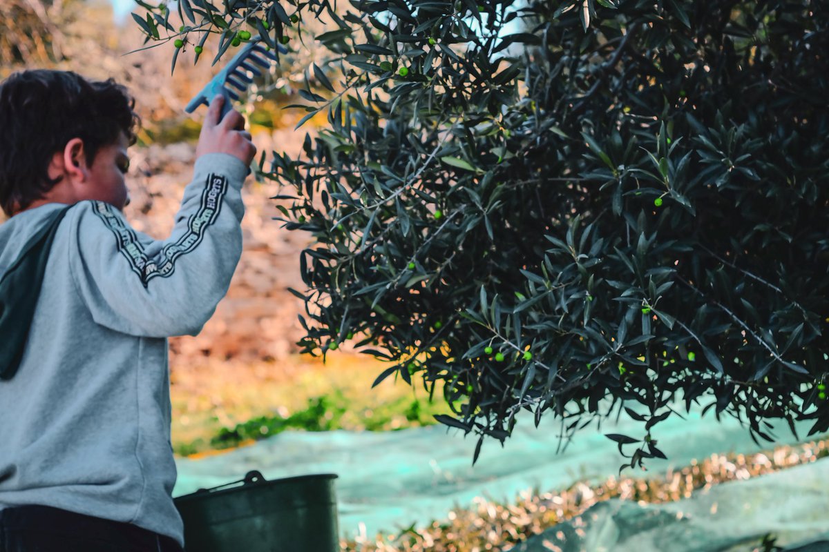 Repoblem tweet media