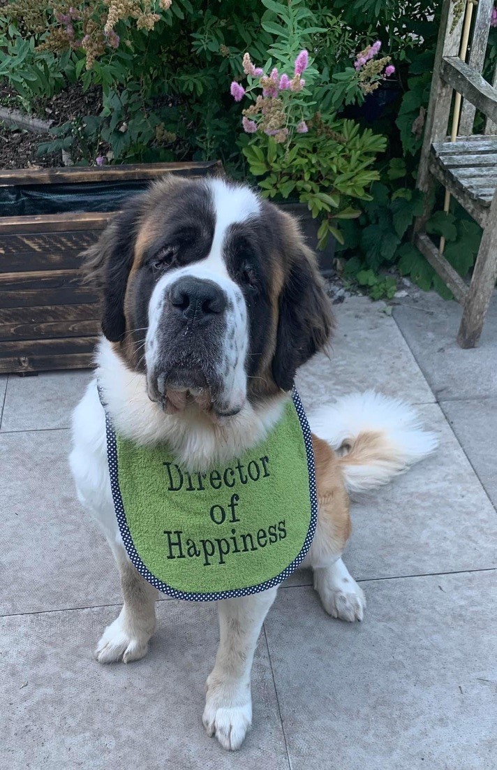 staffPDC tweet media