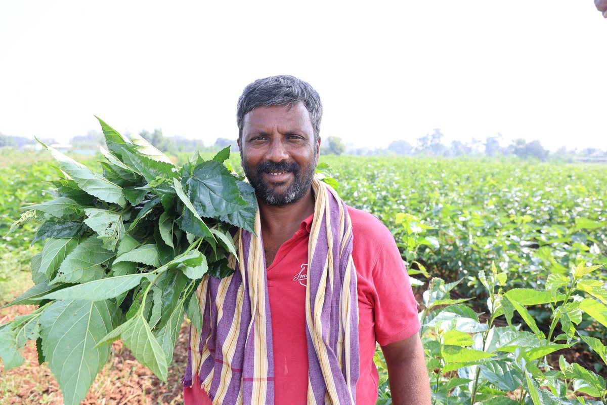 KgfMgnrega's tweet photo. ರೇಷ್ಮೆಯಿಂದ ರೈತನ ಬದುಕು ಸುಸ್ಥಿರ

ಉದ್ಯೋಗ ಖಾತರಿ ಯೋಜನೆಯಡಿ ಹಿಪ್ಪುನೇರಳೆ ಬೆಳದುಕೊಂಡು ಬದುಕು ಕಟ್ಟಿಕೊಂಡ ರೈತ ಉಮೇಶ್

ಸ್ಥಳ : ಜಯಮಂಗಲ ಗ್ರಾಮ. ಟಿ ಗೊಲ್ಲಹಳ್ಳಿ ಗ್ರಾ.ಪಂ, ಕೆ.ಜಿ.ಎಫ್ ತಾಲ್ಲೂಕು, ಕ��ಲಾರ ಜಿಲ್ಲೆ
@MgnregsK @PriyankKharge @KarnatakaVarthe @CMofKarnataka https://t.co/yQckczqpNv