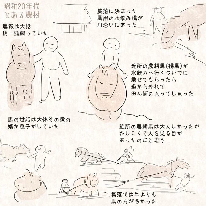昭和20年代を中心に農業用の機械が導入されるまで身近にいた農耕馬について聞いた話メモ

以前ポストしたかまどの話と似たような感じだけど馬が日常に溶け込んでいる社会、当たり前だった感覚を私は前代から引継いでいない 