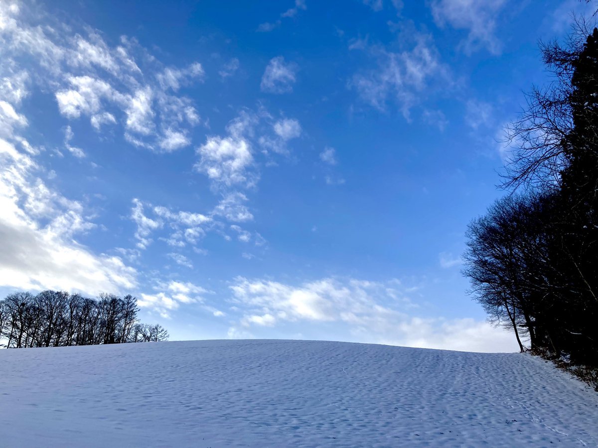 「冬の満月の夜は、雪女が出でて遊ぶともいう。童子をあまた引き連れてくるといえり。」
『遠野物語』第103話より