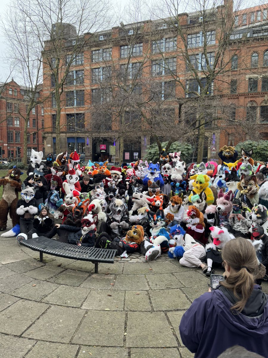 Blitz__Fox's tweet photo. Another @MancFurs day, last one of the year, hanging around with the bestest foxbutt @Adamski_Fox 

🐶 @gotloaf https://t.co/QFXGQahaa1