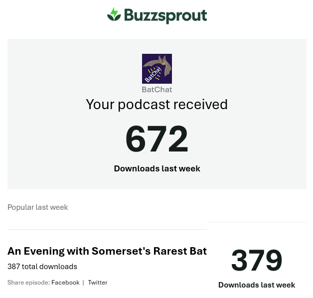 _BCT_'s tweet photo. Season 6 of our #podcast #BatChat is going strong! Catch up on all episodes in your usual platform or on your browser @buzzsprout : https://t.co/qcXmUGgAaW .
We're having a break over #Christmas but a new episode is coming on 1 January 2025. https://t.co/BOC7JeUCc5