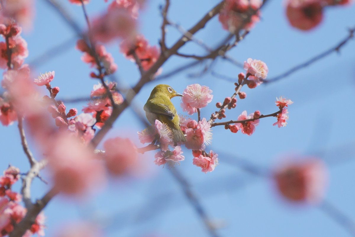 #SONY #a7_4
