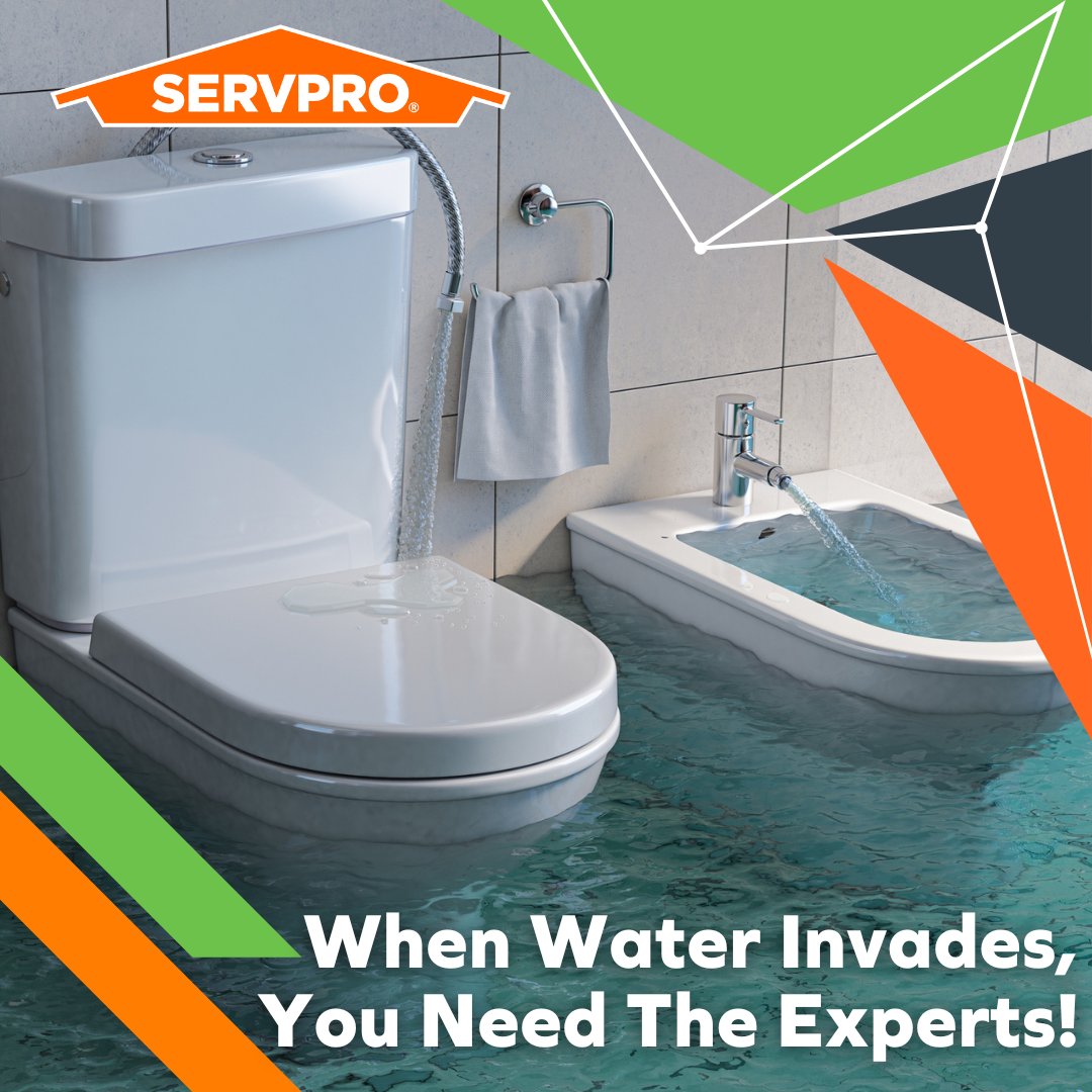 🚨 Bathroom Flooding? We’re Here to Help! 🚨
Whether it’s a burst pipe or an overflowing sink, bathroom flooding can cause serious damage. SERVPRO’s water restoration experts are ready to step in and make it "Like it never even happened." 
#BathroomFlooding #WaterDamageRestor ...