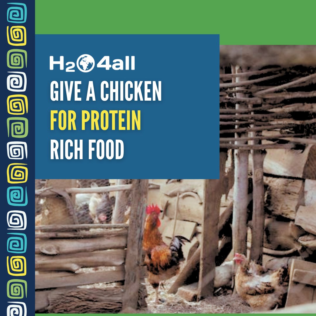 #spreadjoysharesafewater | Help a struggling family feed their kids by giving a chicken: h2o4all.ca/2024/10/giveac…
For just $20, you can provide a family with a chicken to raise for protein rich foods.
#safewater #safewaterforall #water #sanitation #health #food