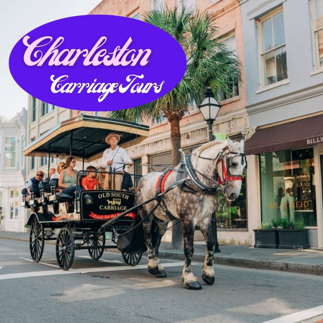 bettervacation_'s tweet image. Enjoy a leisurely horse-drawn carriage tour through Charleston while soaking in architectural marvels, well-preserved streets, and stunning gardens! 🧡

#CharlestonCharm #HistoricTour #SouthernBeauty #SouthCarolina #TheBetterVacation #travelwiththebettervacation