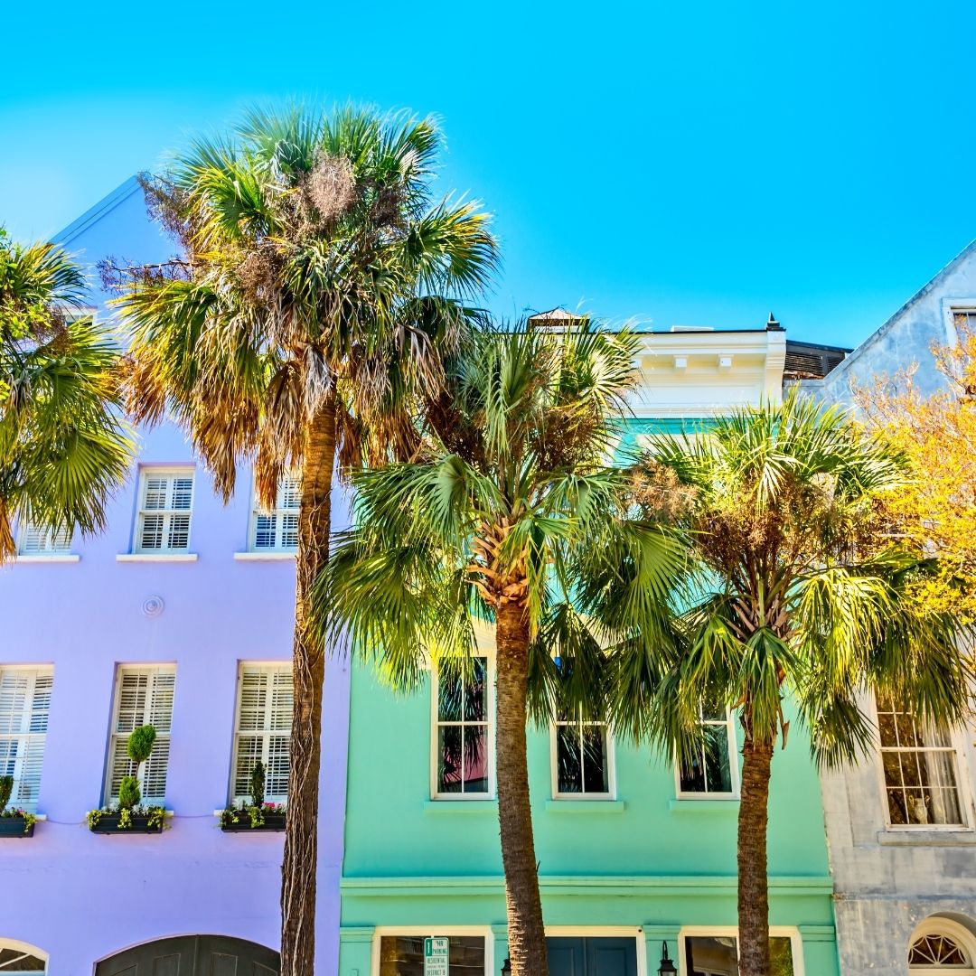 bettervacation_'s tweet image. Enjoy a leisurely horse-drawn carriage tour through Charleston while soaking in architectural marvels, well-preserved streets, and stunning gardens! 🧡

#CharlestonCharm #HistoricTour #SouthernBeauty #SouthCarolina #TheBetterVacation #travelwiththebettervacation