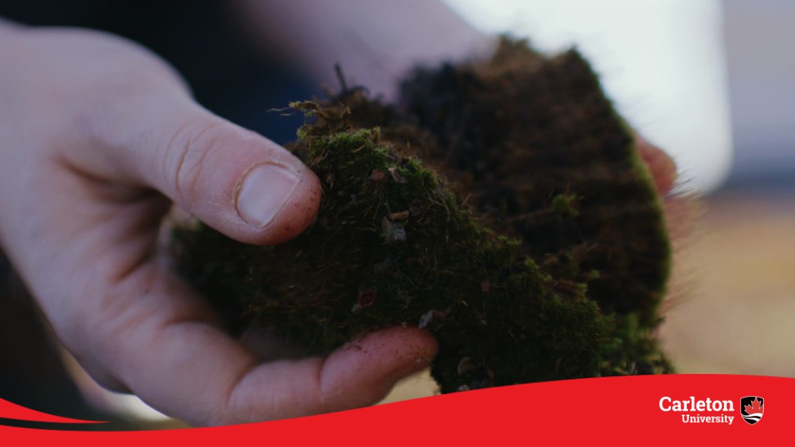 cu_research's tweet photo. 🔬 📚  @HealthScienceCU students to present their research findings!

Discover how the renowned @TinyEarthNet is empowering young scholars to tackle global challenges like antimicrobial resistance &amp; soil biodiversity loss.

🗓️  Friday, 2 p.m.
📍  Health Sciences Building https://t.co/M7hPO8bXu7