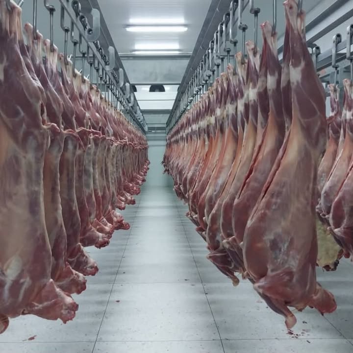 Pale kwenye mnyororo wa thamani wa nyama na Maziwa serikali ikajenga coldrooms maeneo potential ya uzalishaji mifugo itaongeza sana thamani ya biashara hizi..
