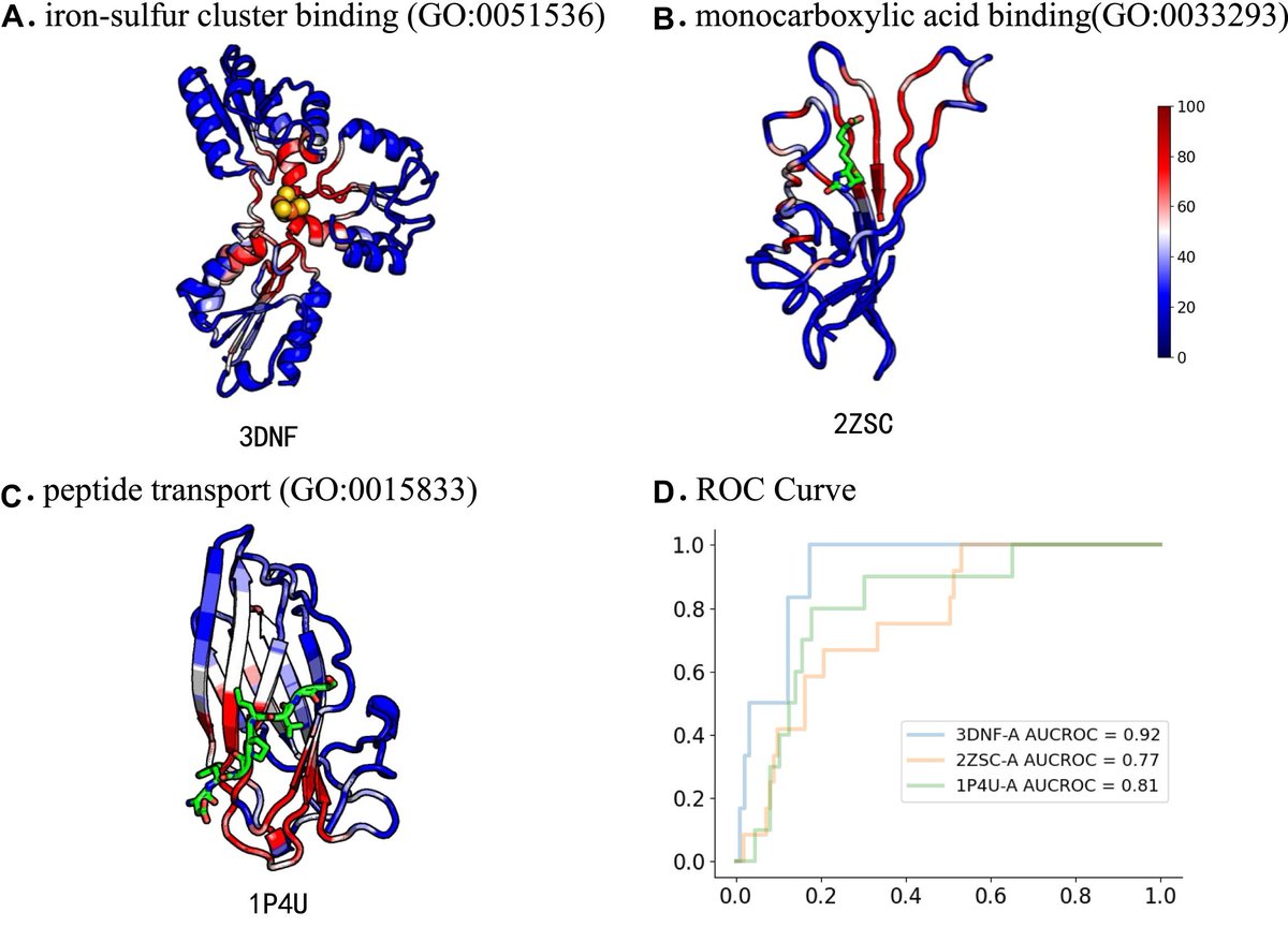 Bioinformaticx's tweet image. Learning a generalized graph transformer for protein function prediction in dissimilar sequences

doi.org/10.1093/gigasc…

#Bioinformatics
#Bioinformaticx