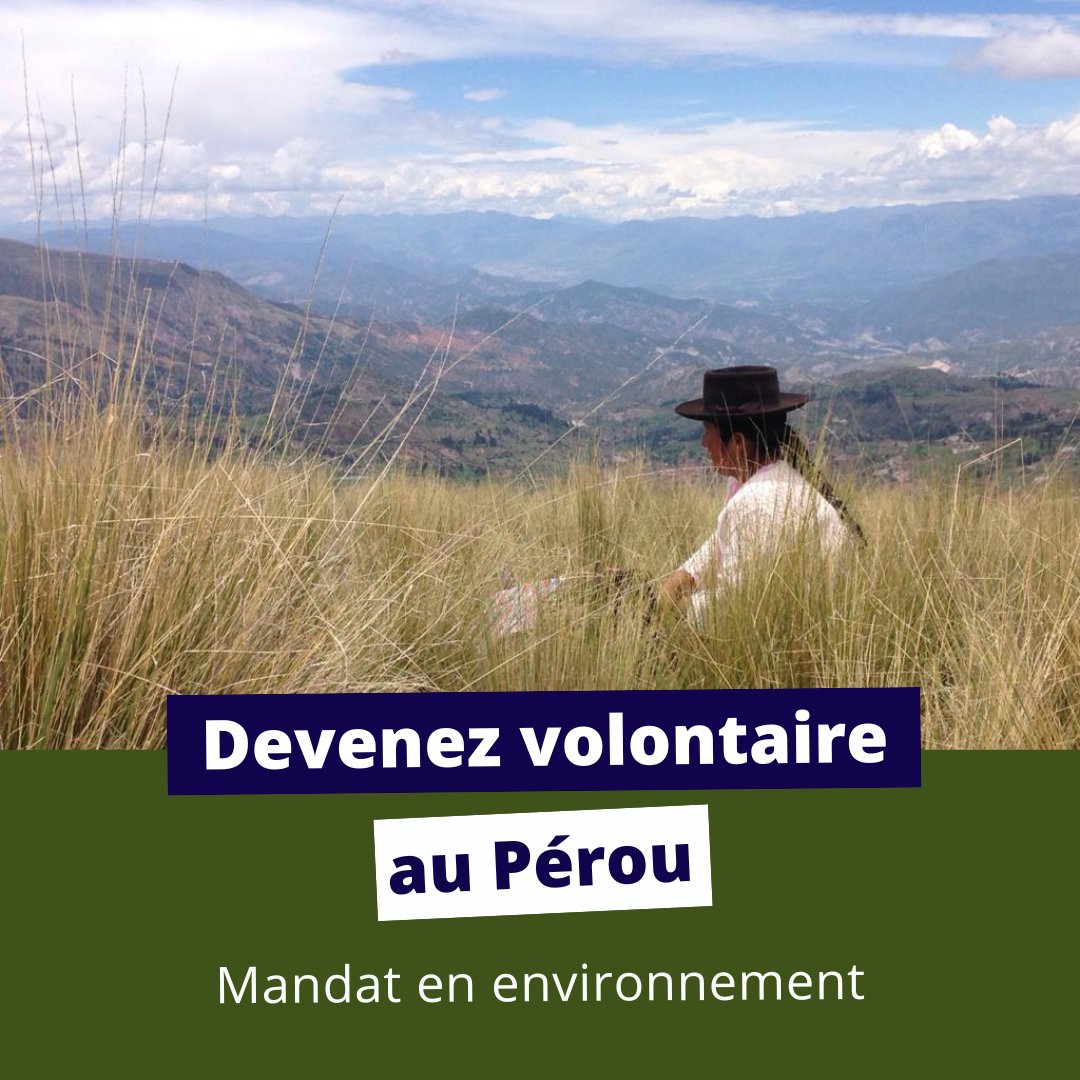 DestinationQSF's tweet image. 🌎🧳Devenez #volontaireQSF pour un mandat au #Pérou, en #Bolivie ou en #Colombie cet été!

En savoir plus et s'inscrire👉destinationqsf.com

#DestinationSolidarité @MRIF_Quebec