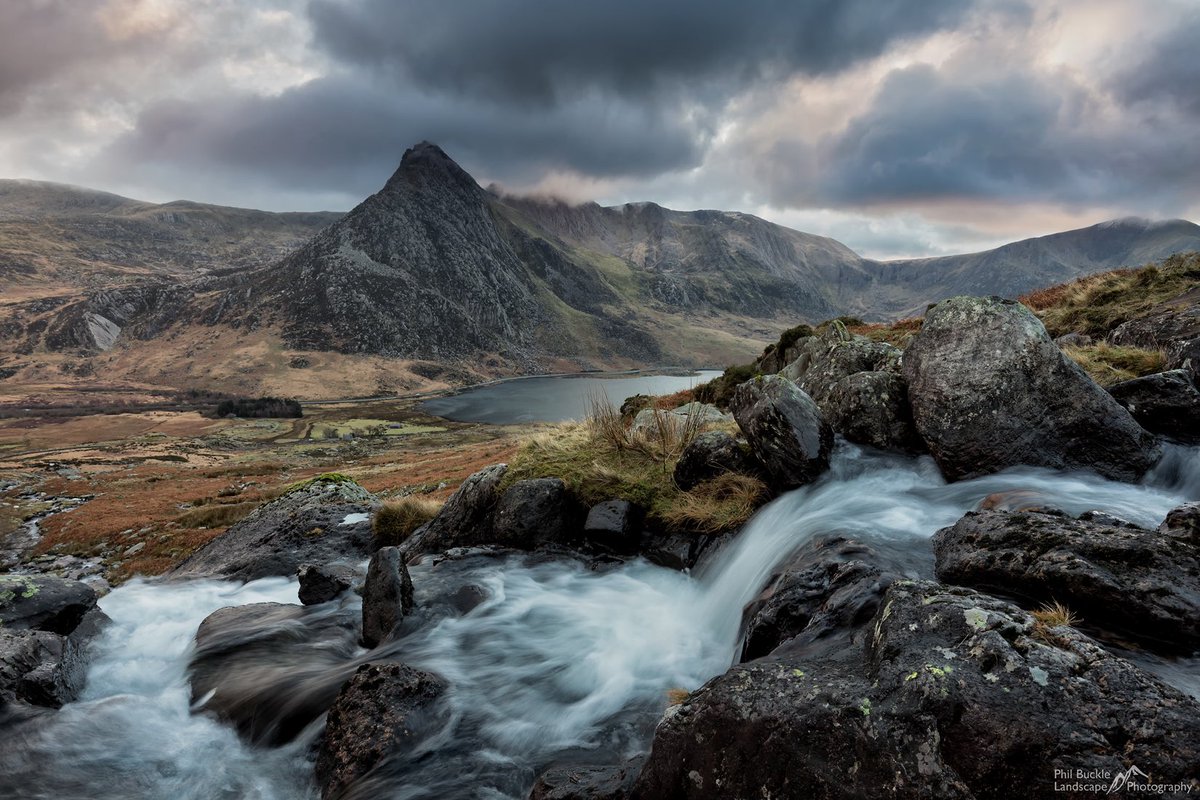 Phil Buckle tweet media