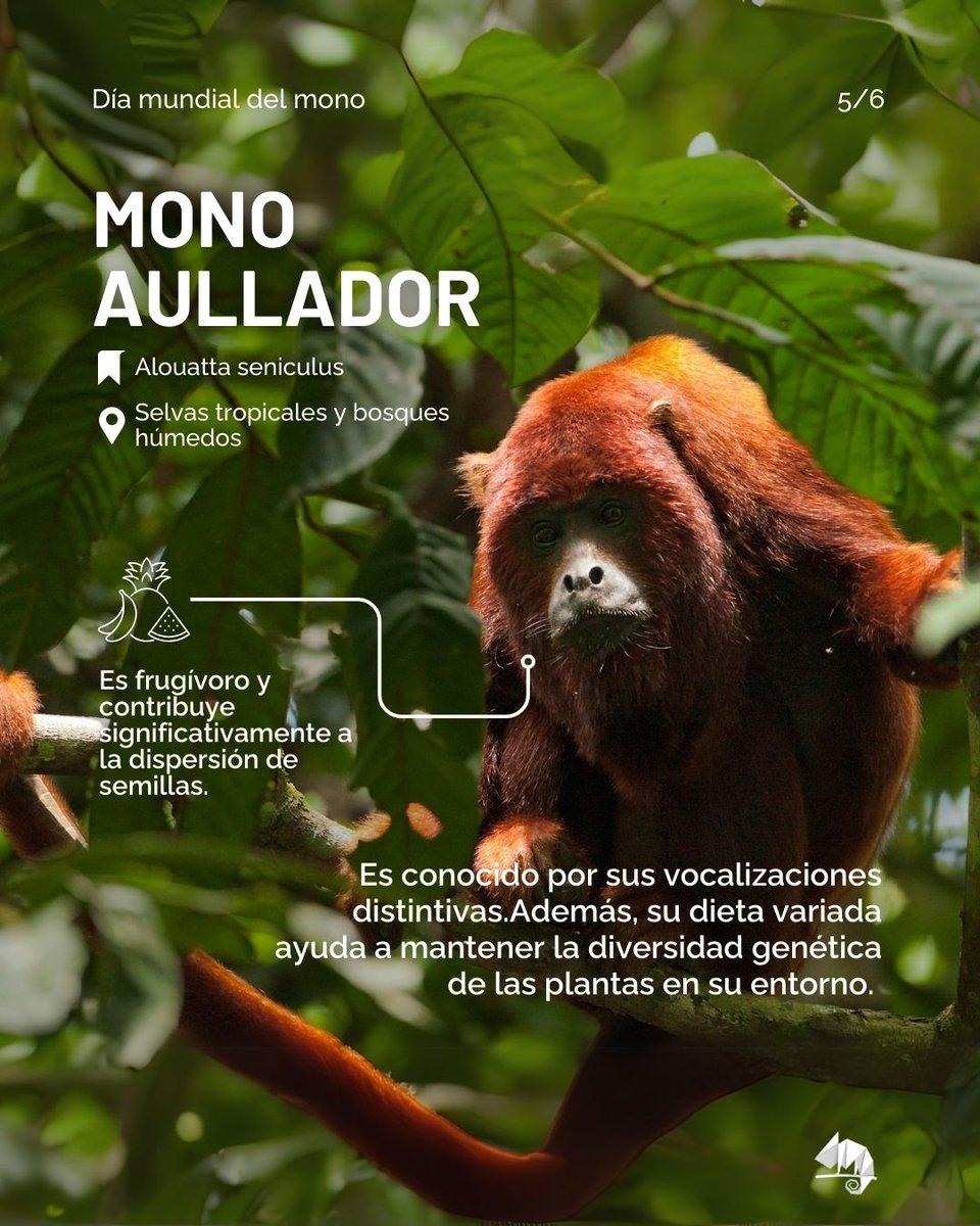 Transforma 🌎 tweet media