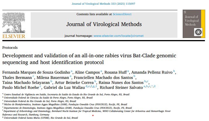 Aline Campos tweet media