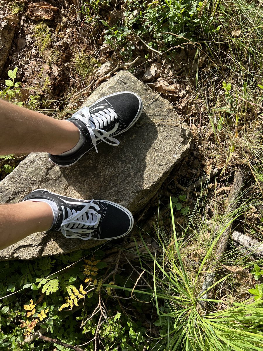 Vansboyy193's tweet photo. 😋 https://t.co/ae3GRFSlgm