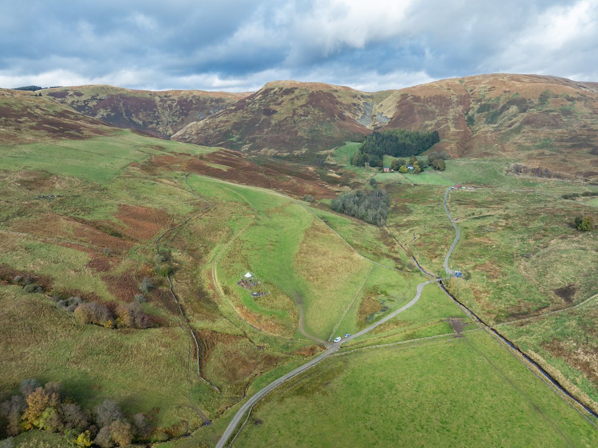 Borders Forest Trust tweet media