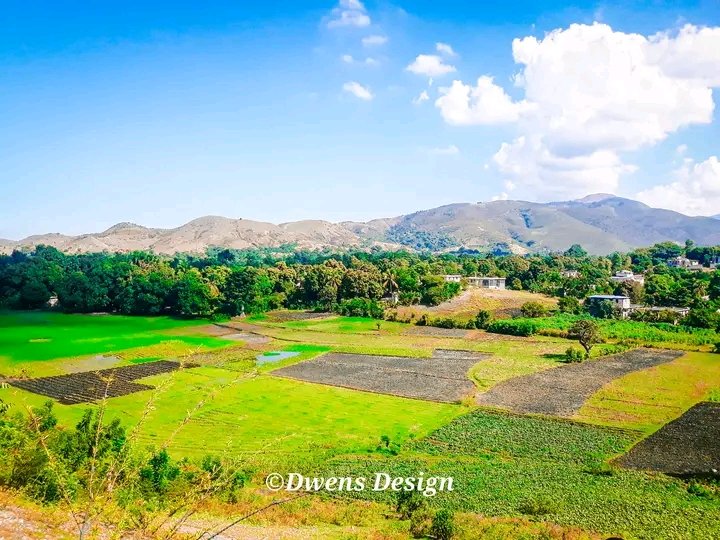 Environnement_H's tweet photo. LÉOGÂNE 🇭🇹
Zòn nan #Mapou
Kote lavi kache nan yogann
🌱🇭🇹
📷 Dwens Design https://t.co/keoGd3g6bY