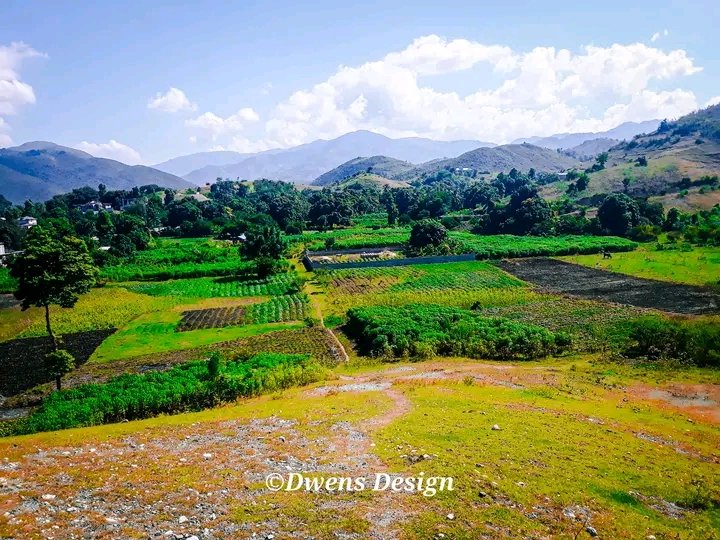 Environnement_H's tweet photo. LÉOGÂNE 🇭🇹
Zòn nan #Mapou
Kote lavi kache nan yogann
🌱🇭🇹
📷 Dwens Design https://t.co/keoGd3g6bY