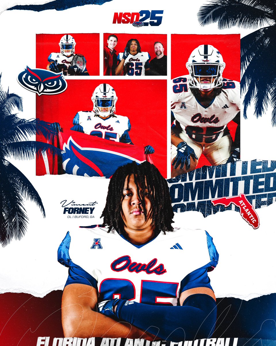 #COMMITTED 🦉🏝️