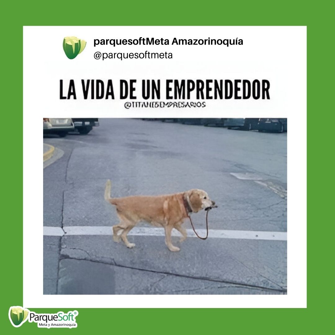 ParquesoftMet's tweet image. Como emprendedores, no seguimos caminos... ¡los creamos! 🚀
En Parquesoft estamos aquí para apoyarte a trazar tu propia ruta hacia el éxito. 💡✨
#EmprendeConParquesoft #CreaTuCamino