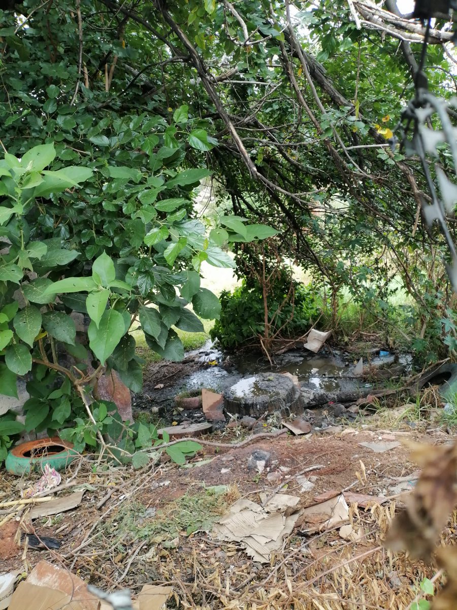 Renske Jacobs tweet media