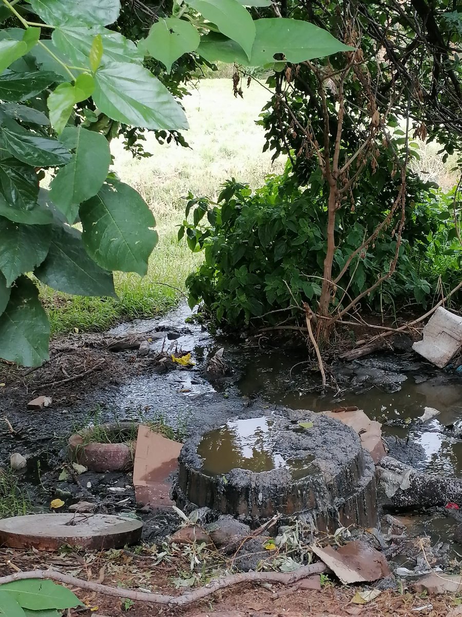 Renske Jacobs tweet media